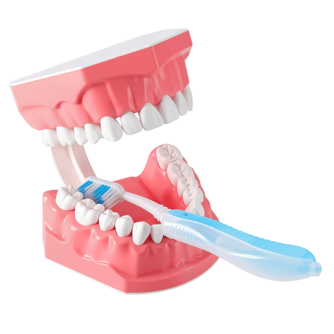 teeth-with-brush1