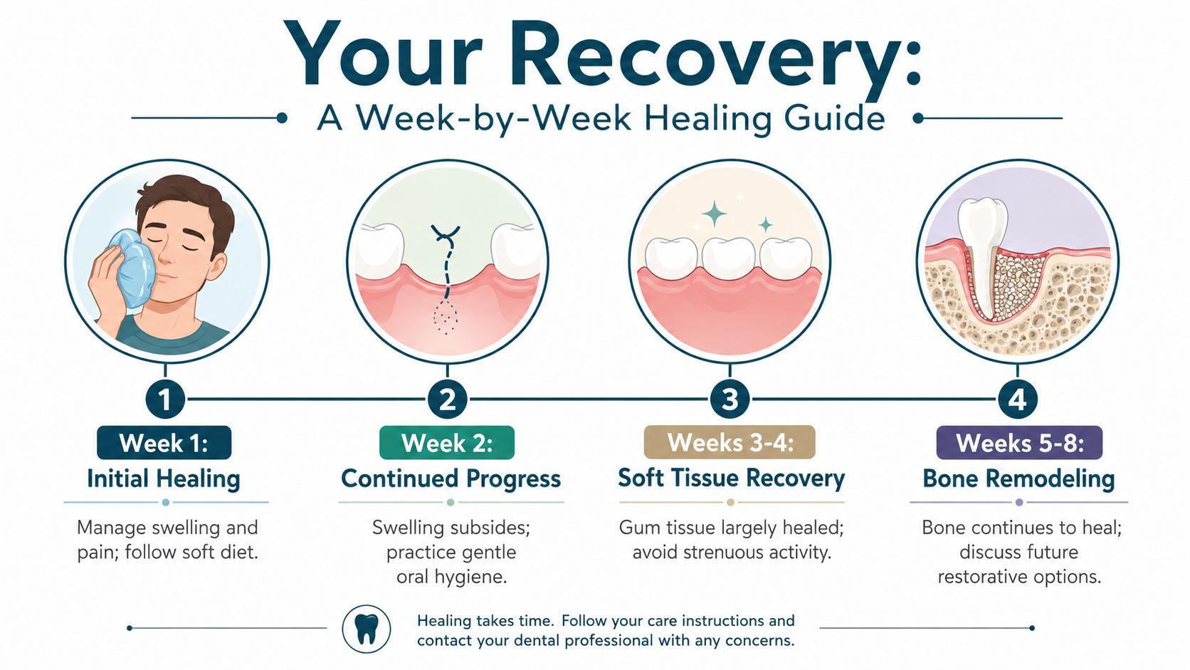 An infographic illustrating the four stages of dental recovery after a tooth extraction, from week one to eight.