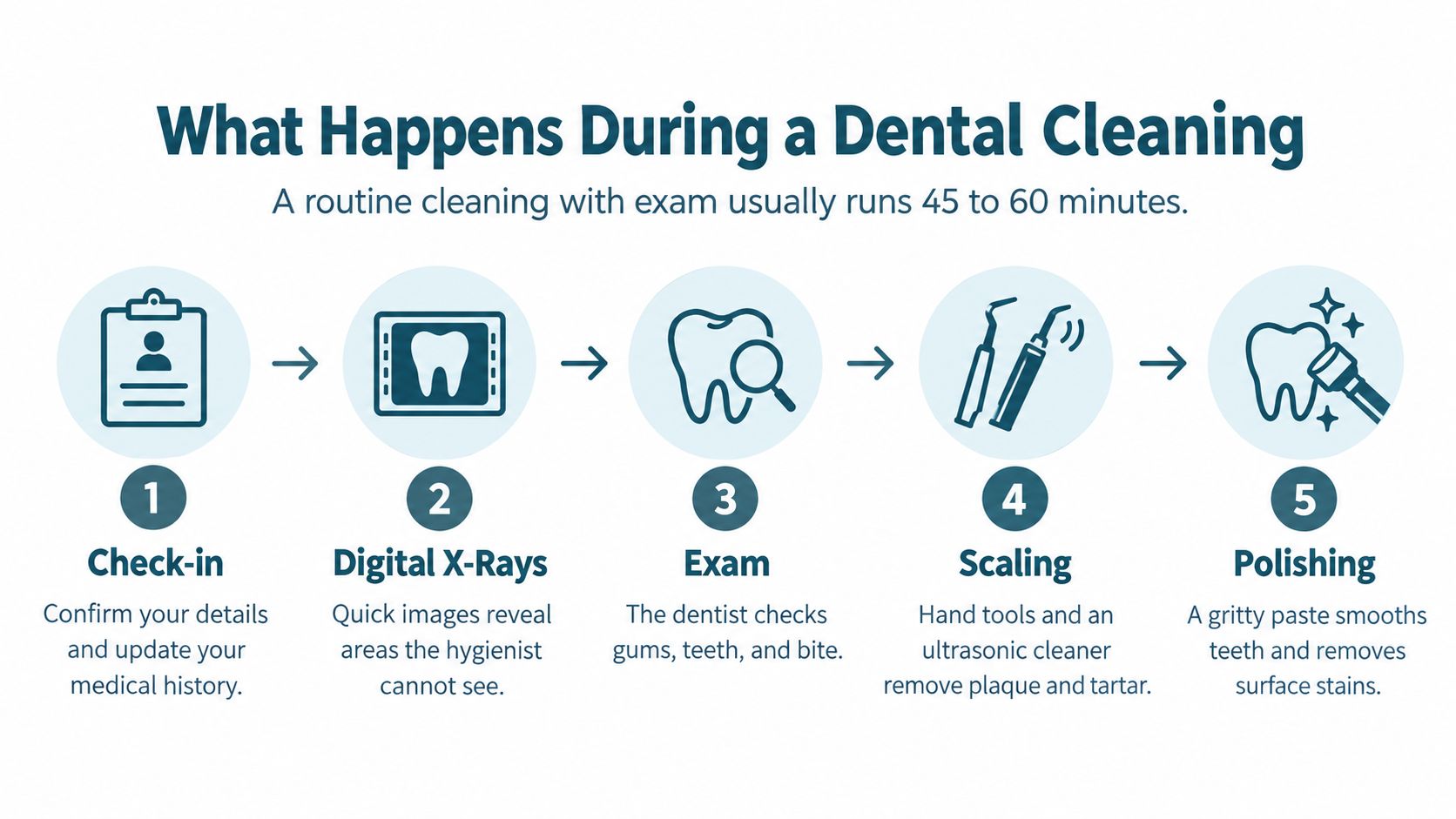 An infographic detailing the five steps of a routine dental cleaning appointment from check-in to polishing.
