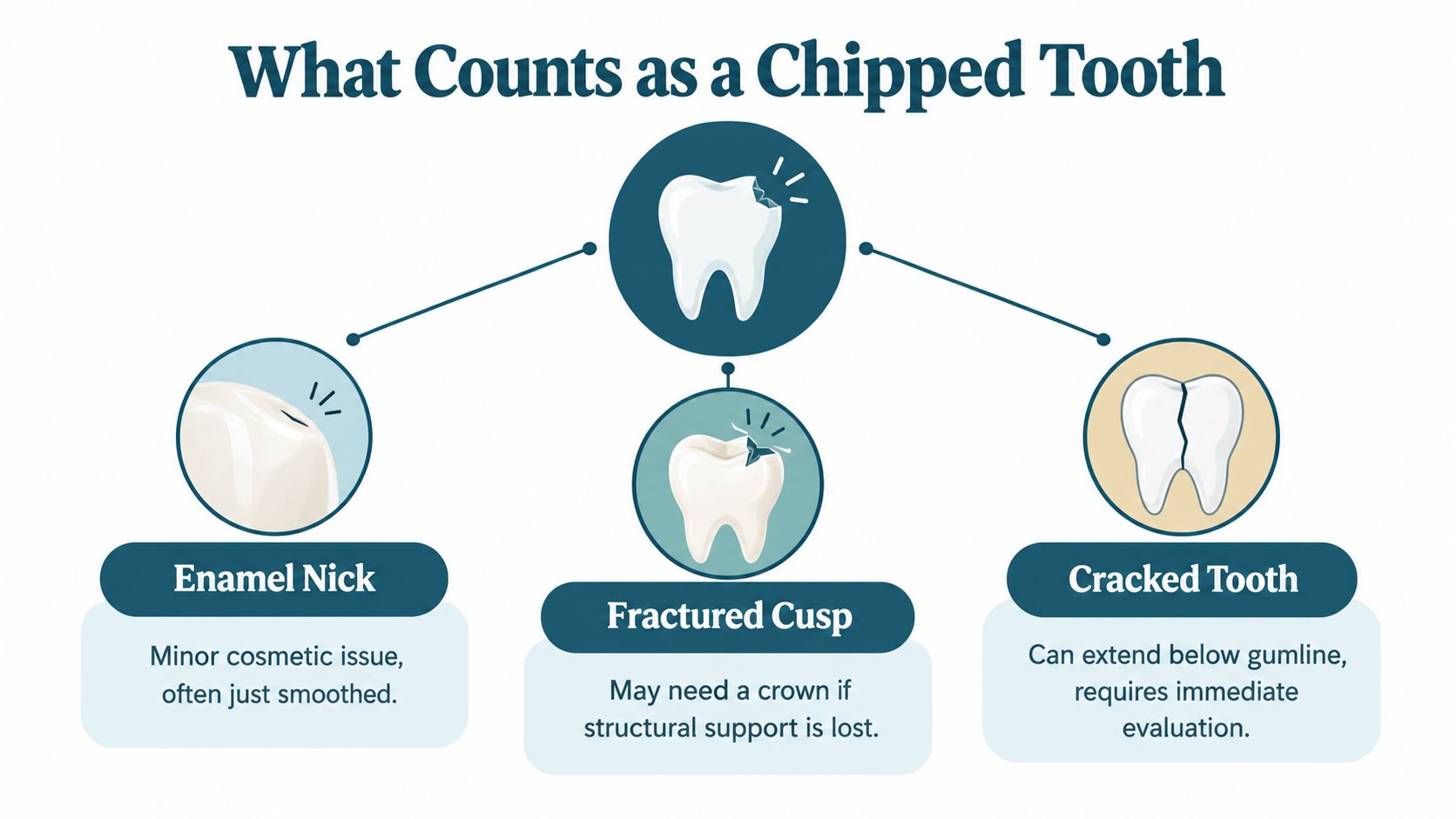 An infographic showing different types of chipped teeth including enamel nicks, fractured cusps, and cracked teeth.